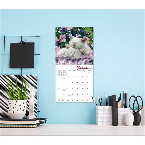 Sellers Publishing Mini Calendar Cat Naps