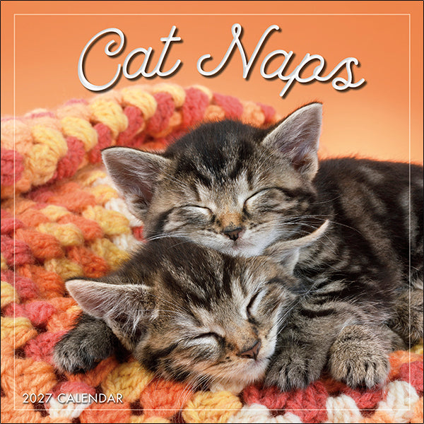 Sellers Publishing Mini Calendar Cat Naps