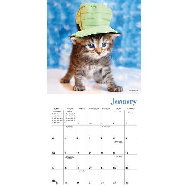 Sellers Publishing Mini Calendar Cats in Hats