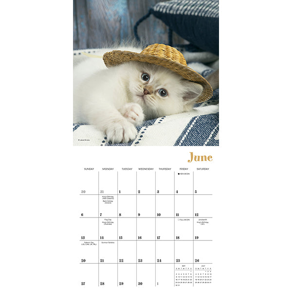 Sellers Publishing Mini Calendar Cats in Hats