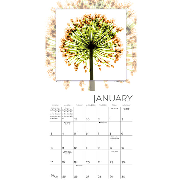 Sellers Publishing Mini Calendar Flower Spirits