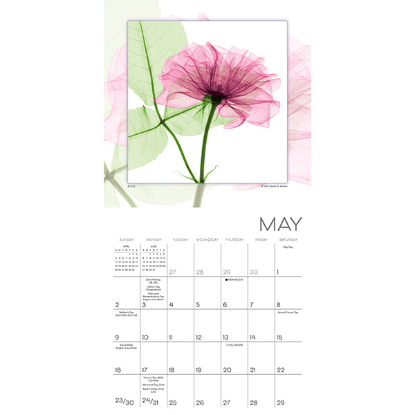 Sellers Publishing Mini Calendar Flower Spirits