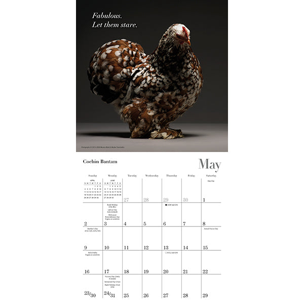 Sellers Publishing Mini Calendar Glamour Chicks