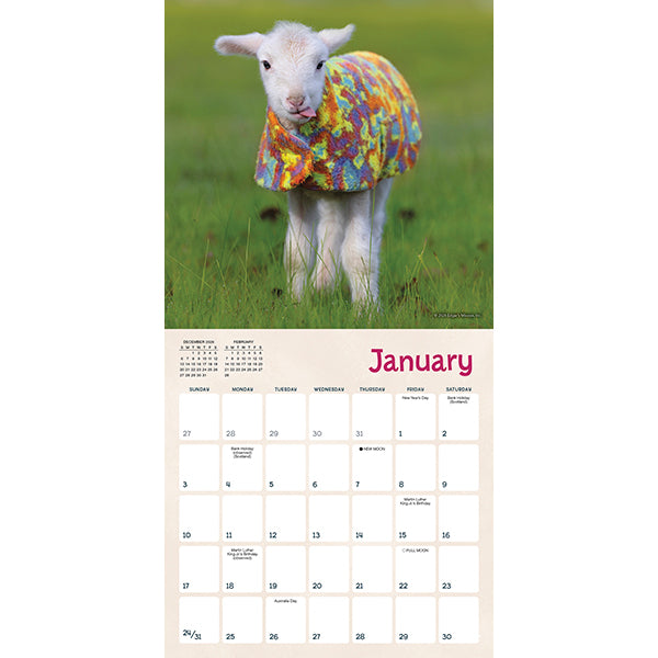 Sellers Publishing Mini Calendar Lambies in Jammies & Goats in Coats