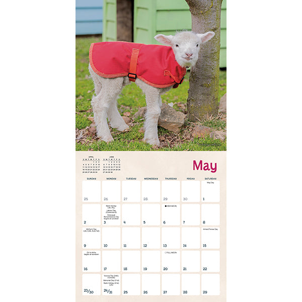 Sellers Publishing Mini Calendar Lambies in Jammies & Goats in Coats