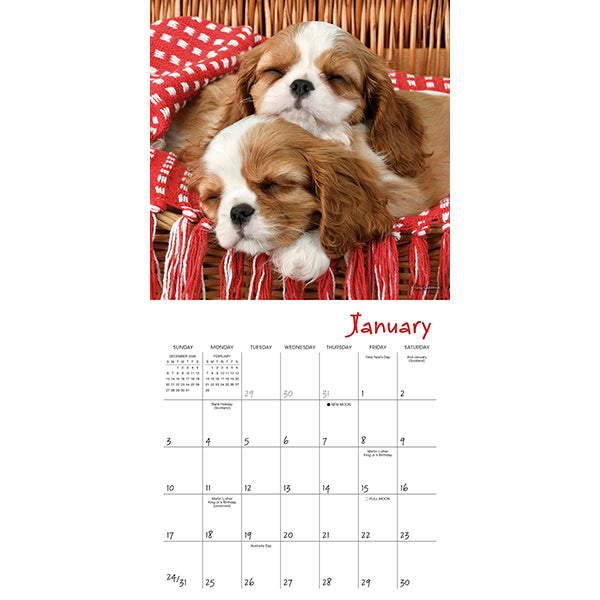 Sellers Publishing Mini Calendar Pooped Puppies