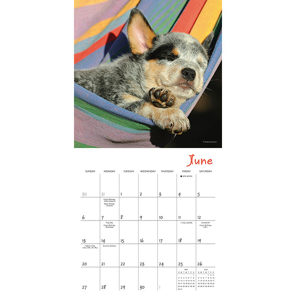 Sellers Publishing Mini Calendar Pooped Puppies