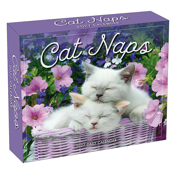 Daily Calendar - Cat Naps