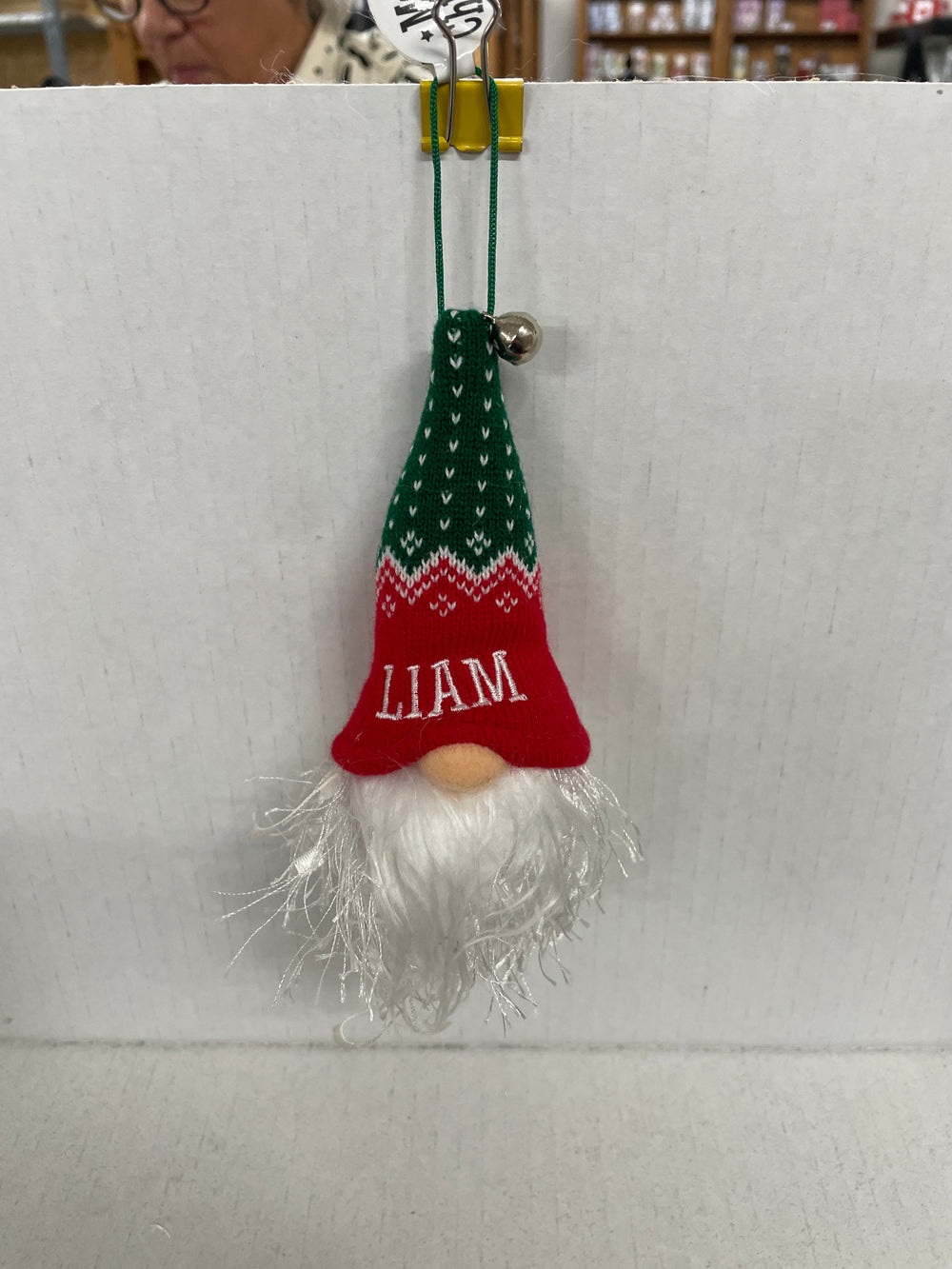 Light Up Gnomes - Liam