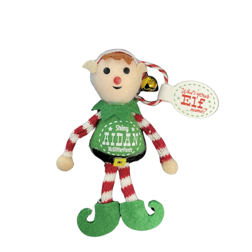The Christmas Elf - Aidan