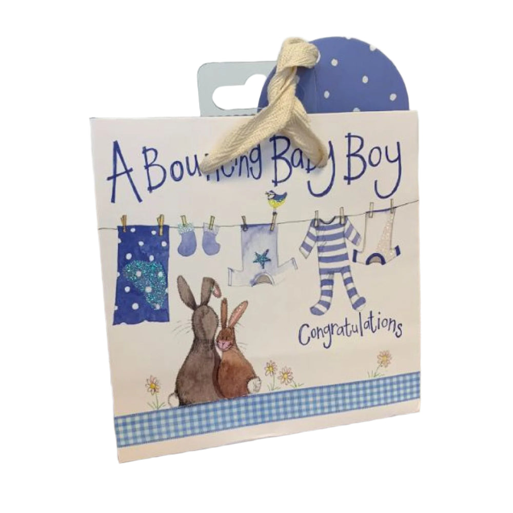 Alex Clark Small Gift Bag - Blue Washing Line