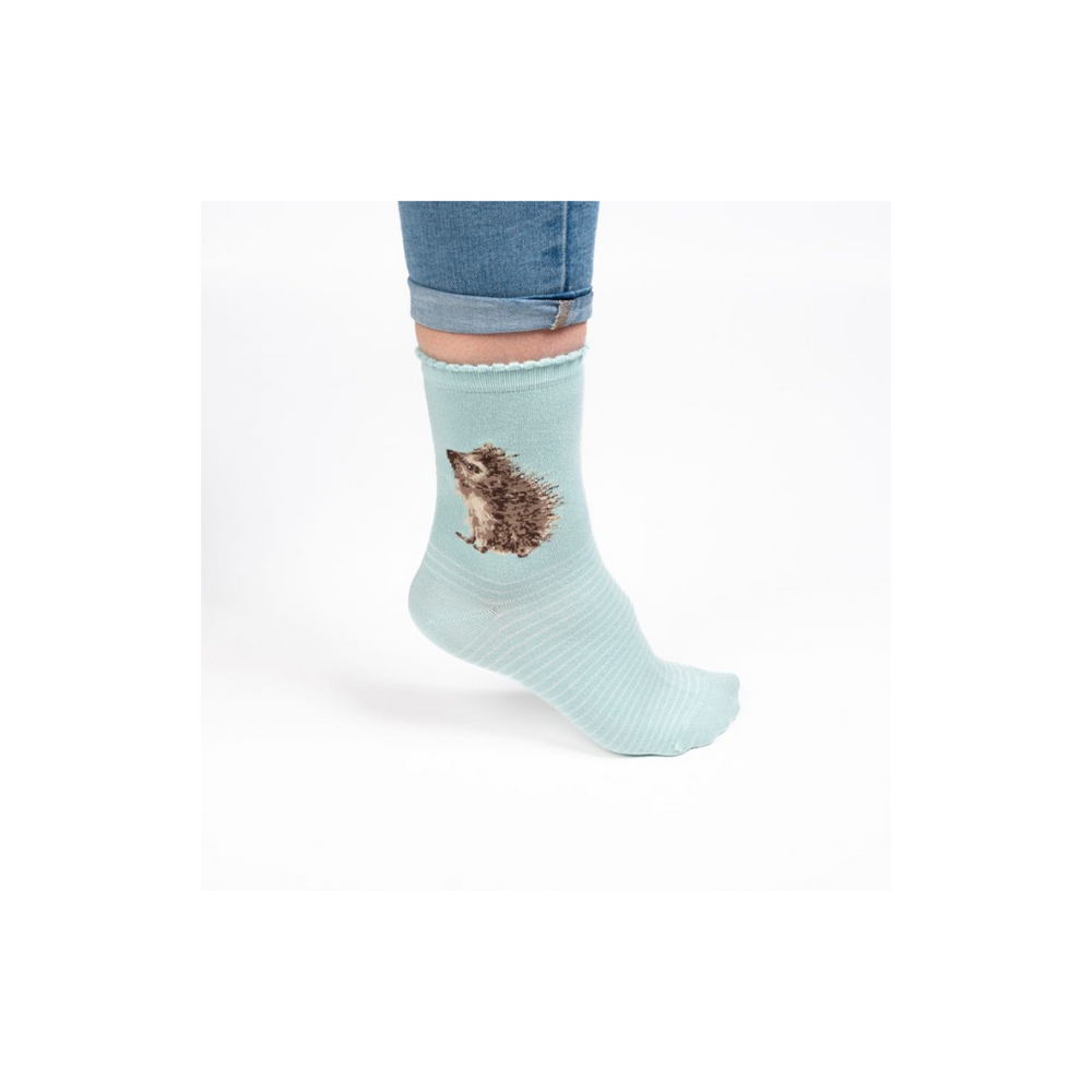 Wrendale Hedgehog Socks - Hedgehugs