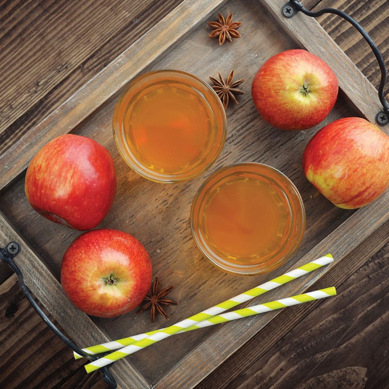 Mini Spiced Apple Cider Drink Mix
