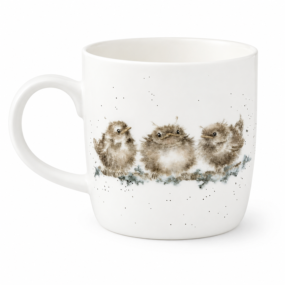Wrendale 11 oz Mug - Feather your Nest
