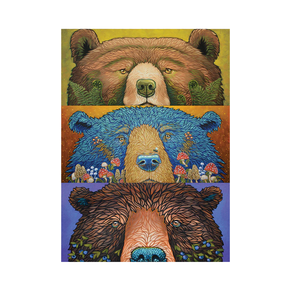 Cobble Hill Puzzles - Bear Eyes: Harvest