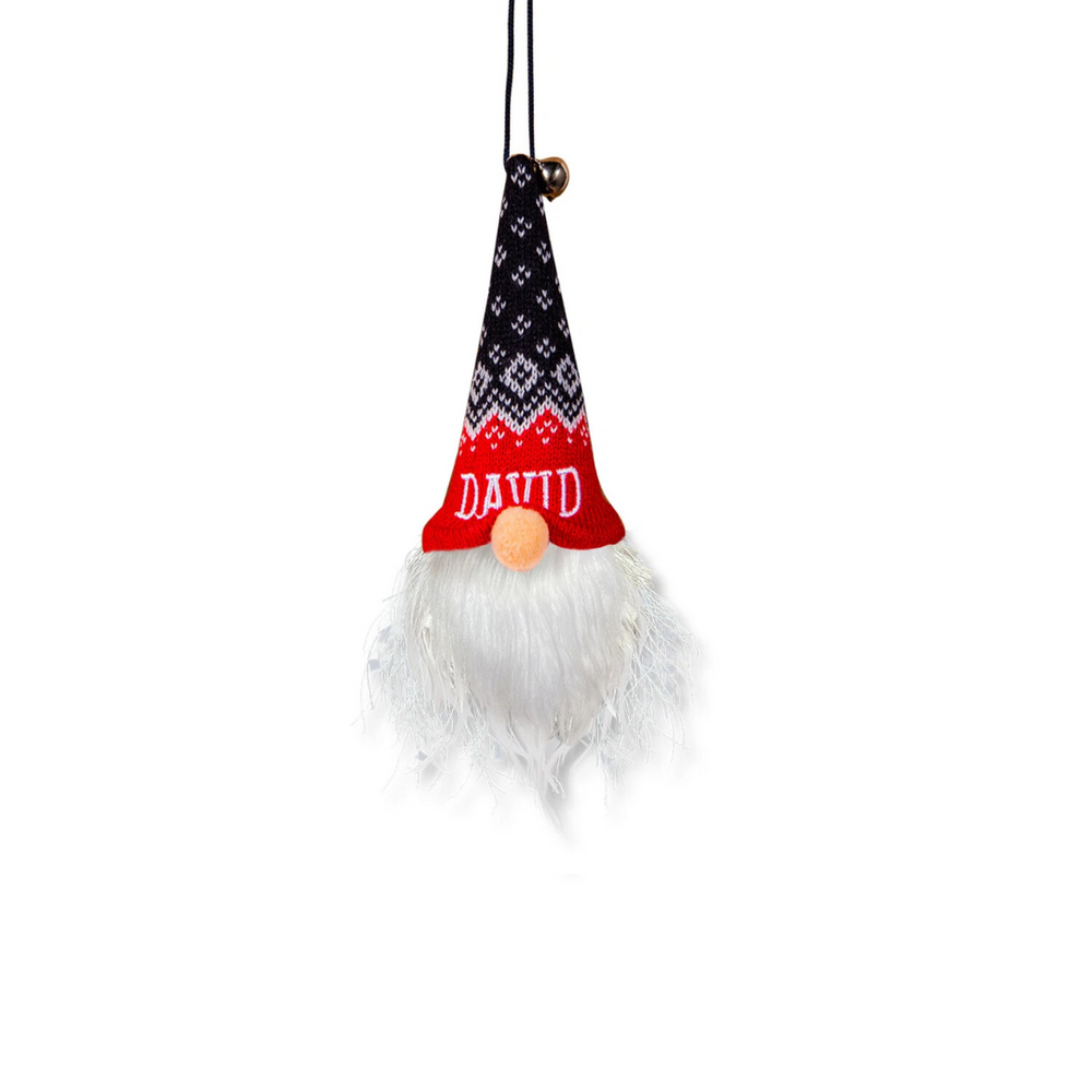 Light Up Gnomes - David