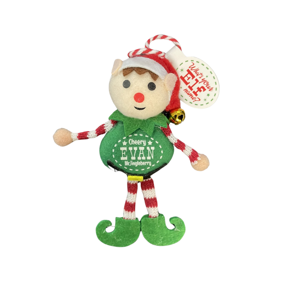 The Christmas Elf - Evan