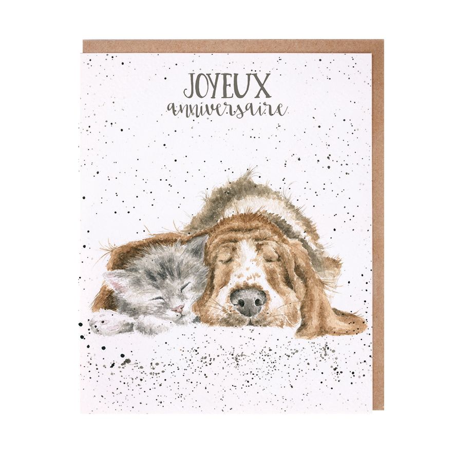 Wrendale Cards Meilleurs Amis Basset Hound & Cat