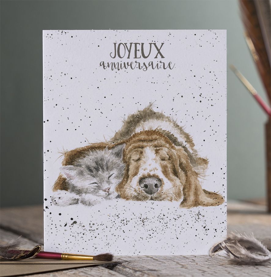 Wrendale Cards Meilleurs Amis Basset Hound & Cat
