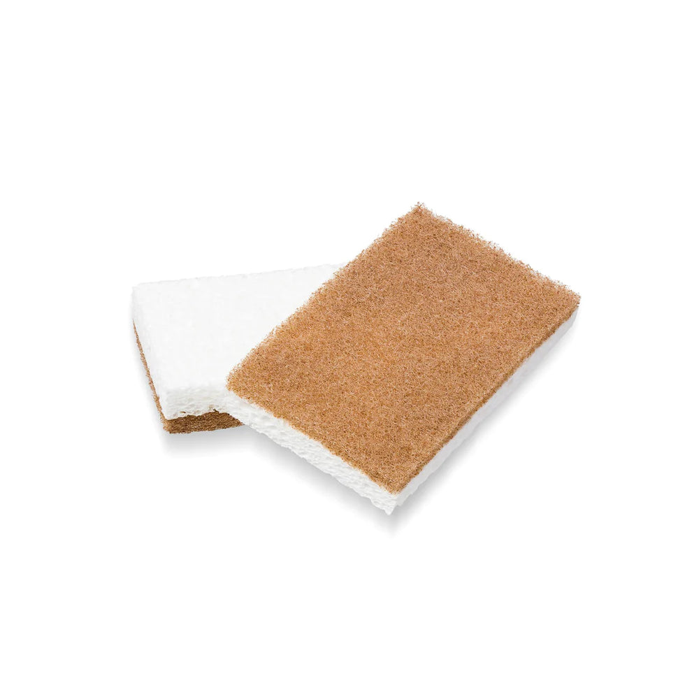 Full Circle Walnut 2 Pack Scrubber Sponge