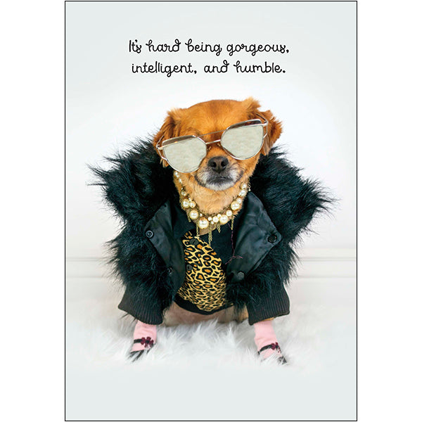 Wicked Funny Card Dog Hard Being Goregous