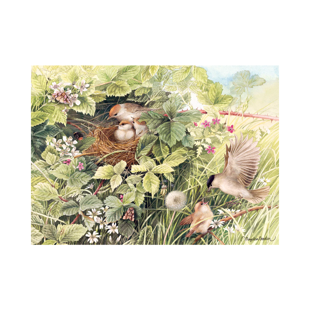 Cobble Hill Puzzles - Hidden Nest