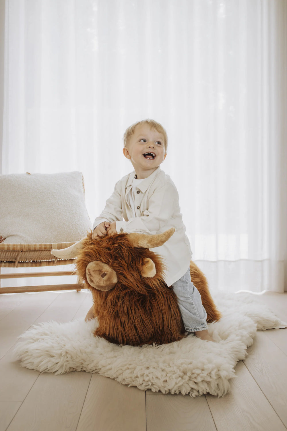 Wild & Soft Highland Cow Soft Bouncy