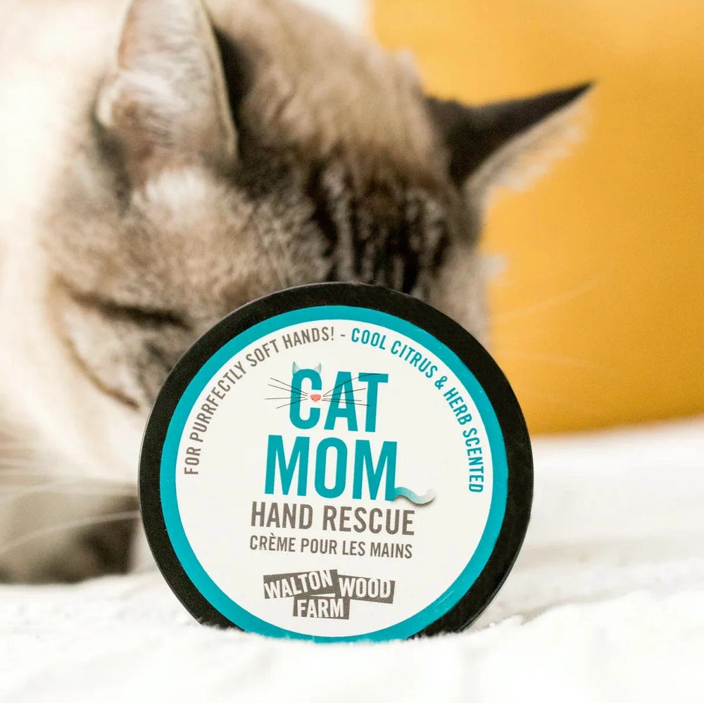 Walton Woods- Hand Rescue-Cat Mom