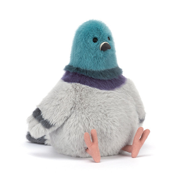 Strutton Pigeon makes a delightful companion for cuddles or display.