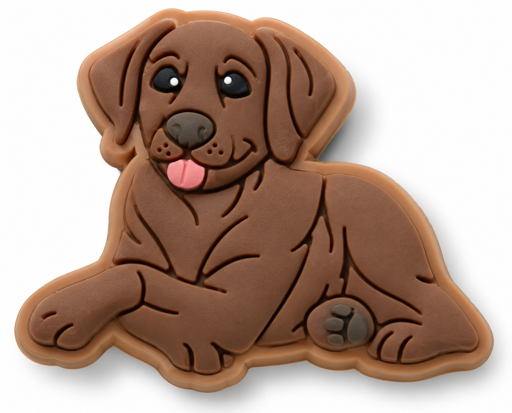 Jibbitz Brown Lab Puppy