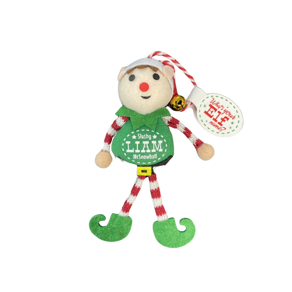 The Christmas Elf - Liam
