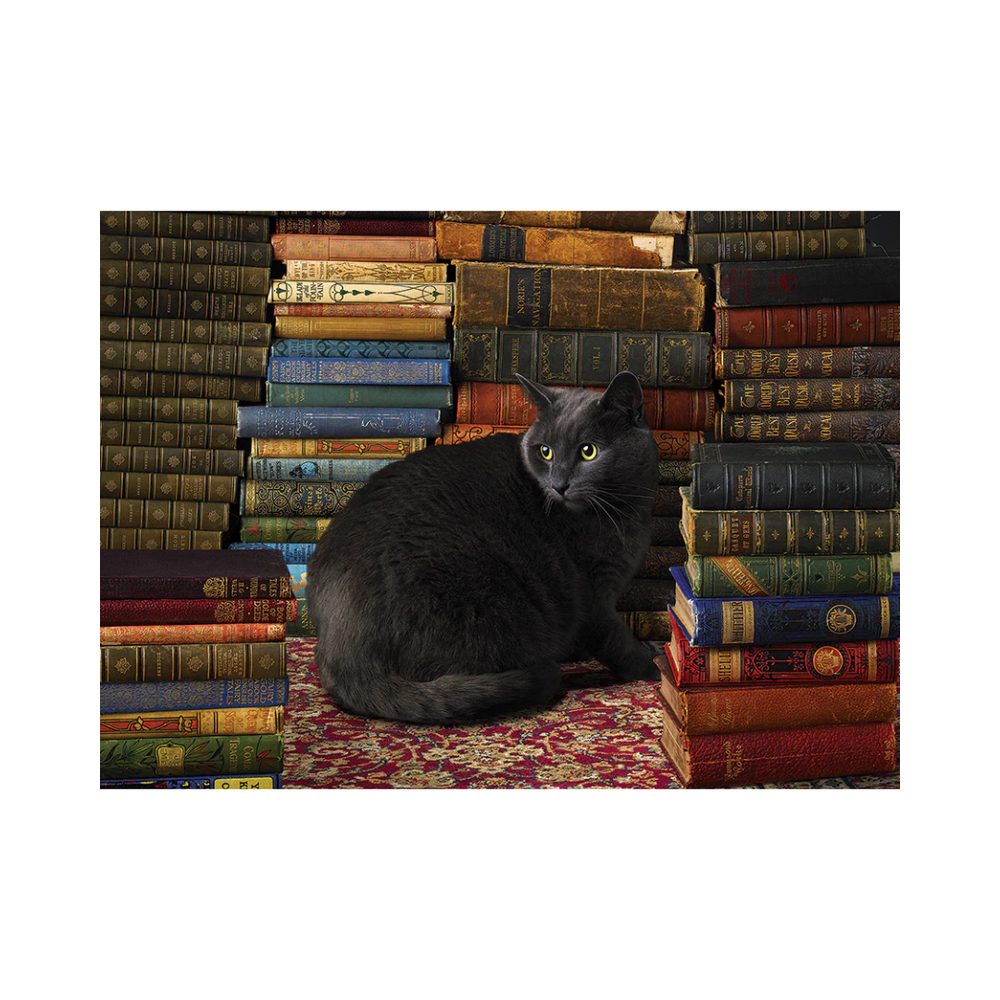 Cobble Hill Puzzles - Library Cat