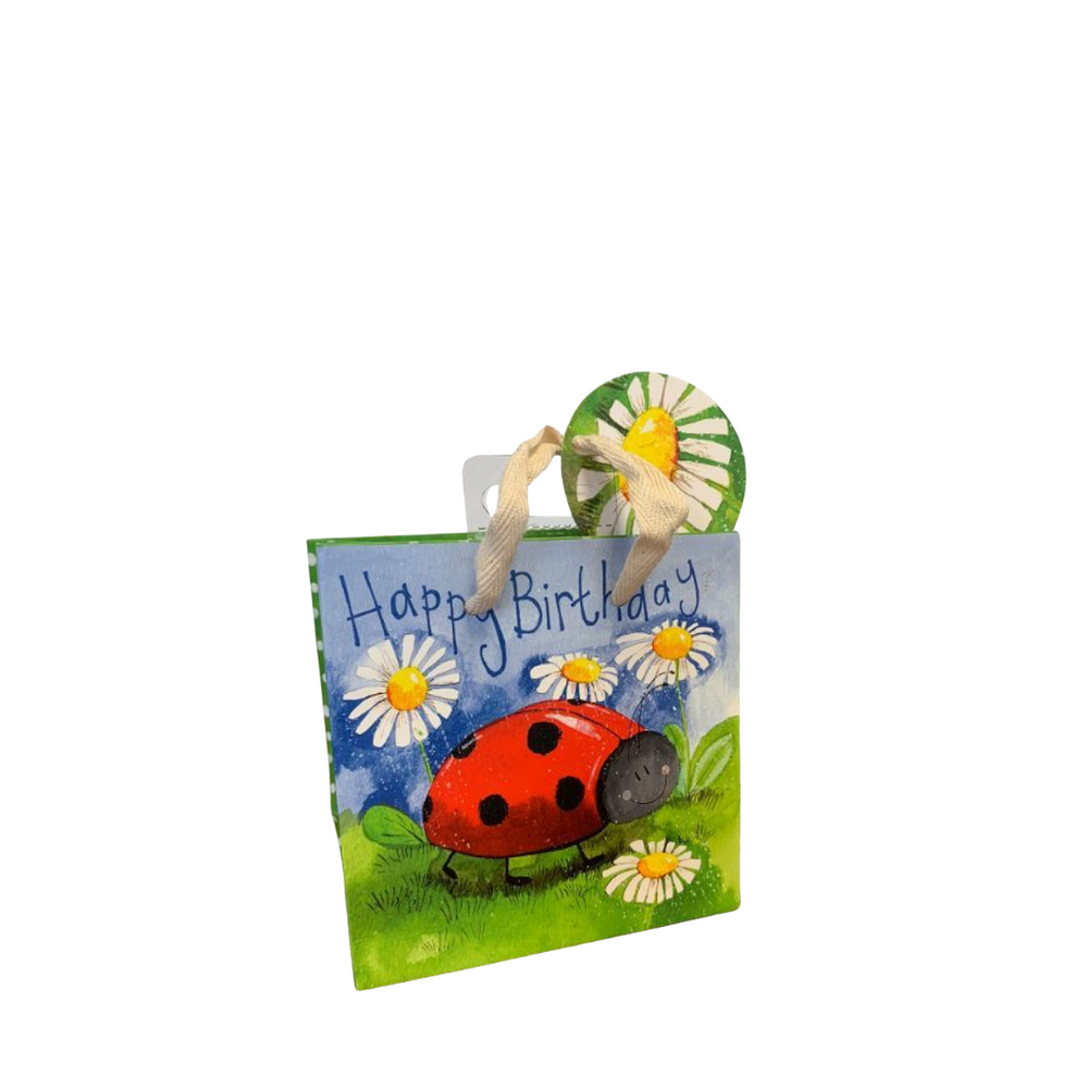 Alex Clark Small Gift Bag - Little Ladybug