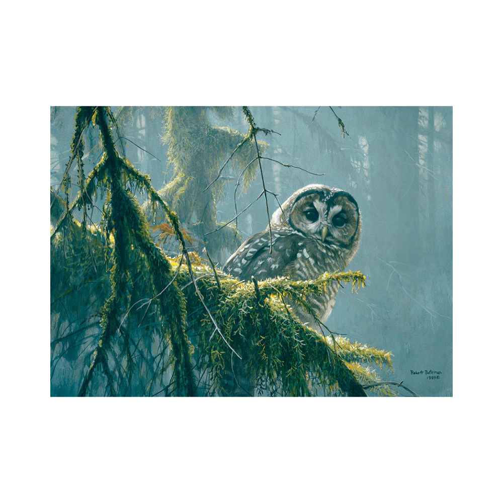 Cobble Hill Puzzles - Mossy Branches- Spotted Owl