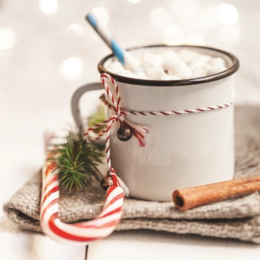 Mini No Sugar Added Candy Cane Hot Chocolate
