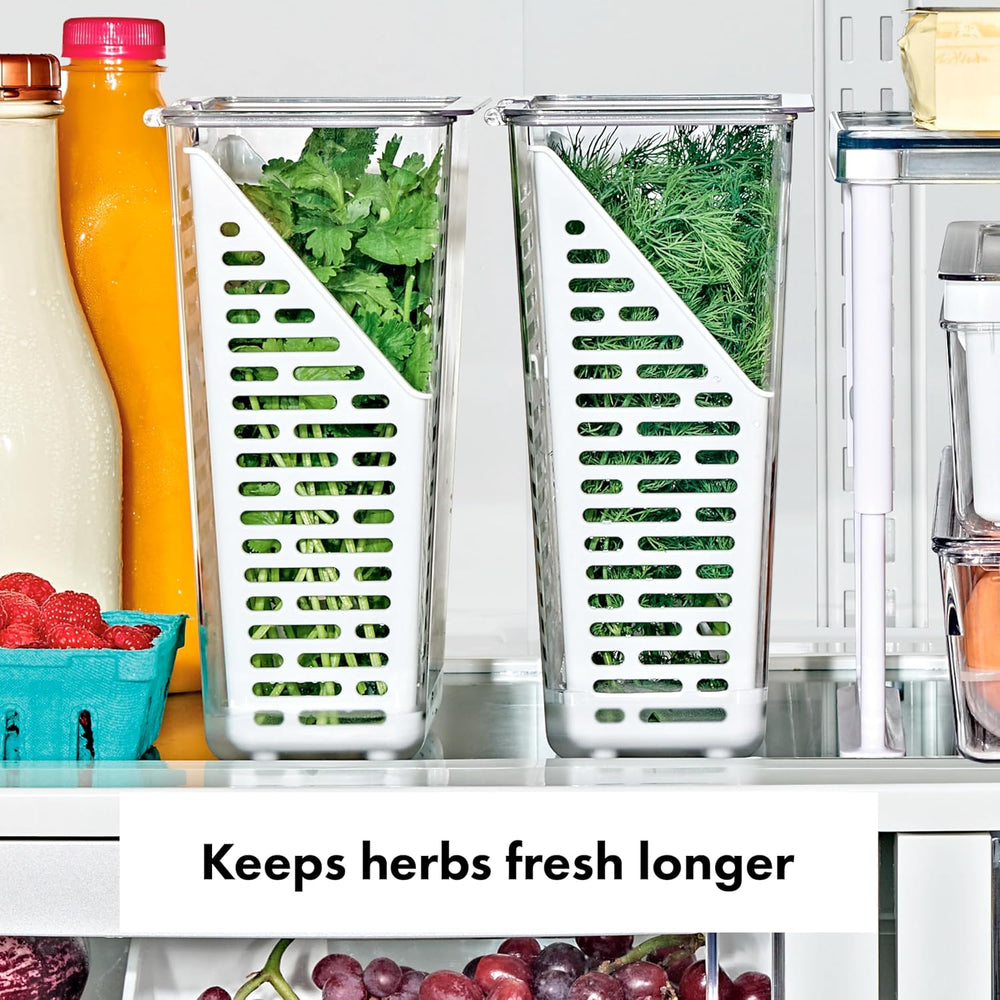 Herb storage containers with fresh herbs inside, placed on a kitchen counter.