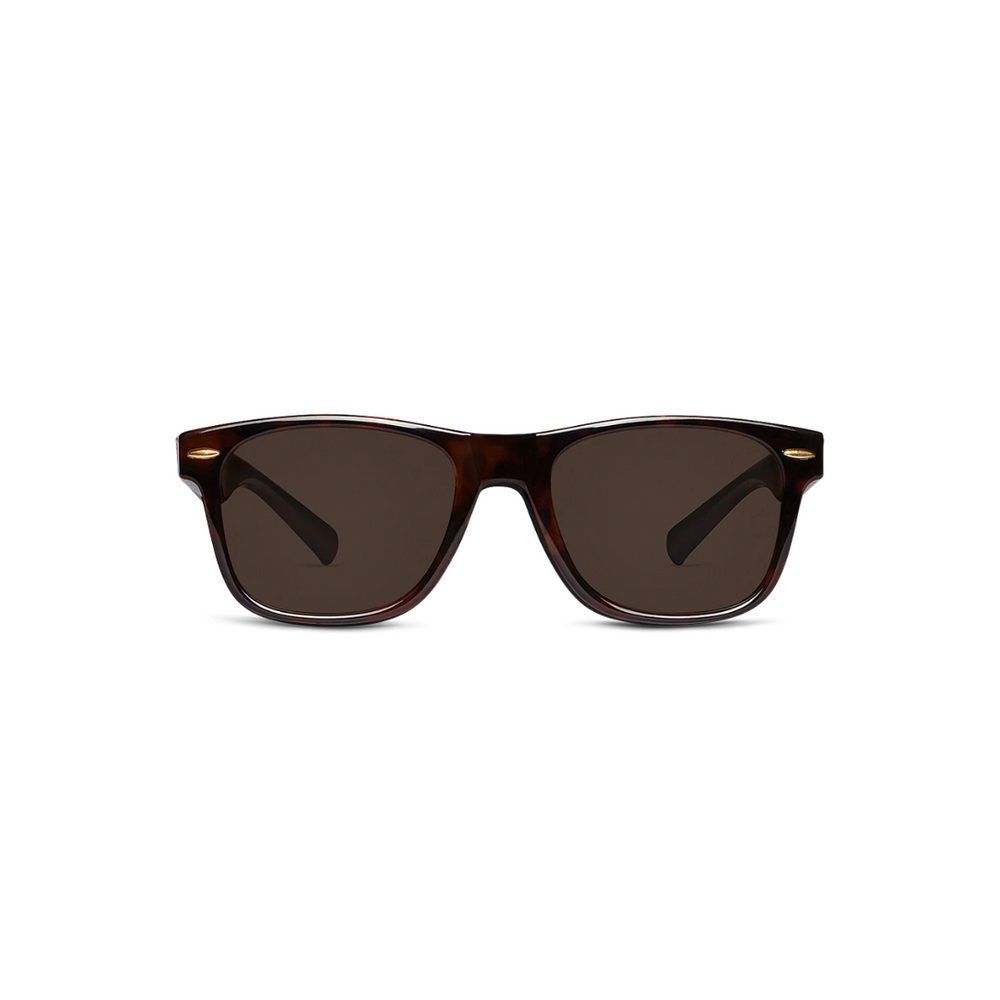 Wollumbin Australia Sunglasses - Outsider Tort/Brown