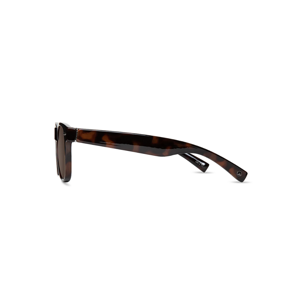 Wollumbin Australia Sunglasses - Outsider Tort/Brown