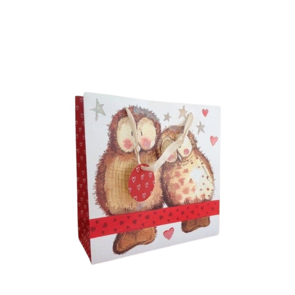 Alex Clark Medium Gift Bag - Owls