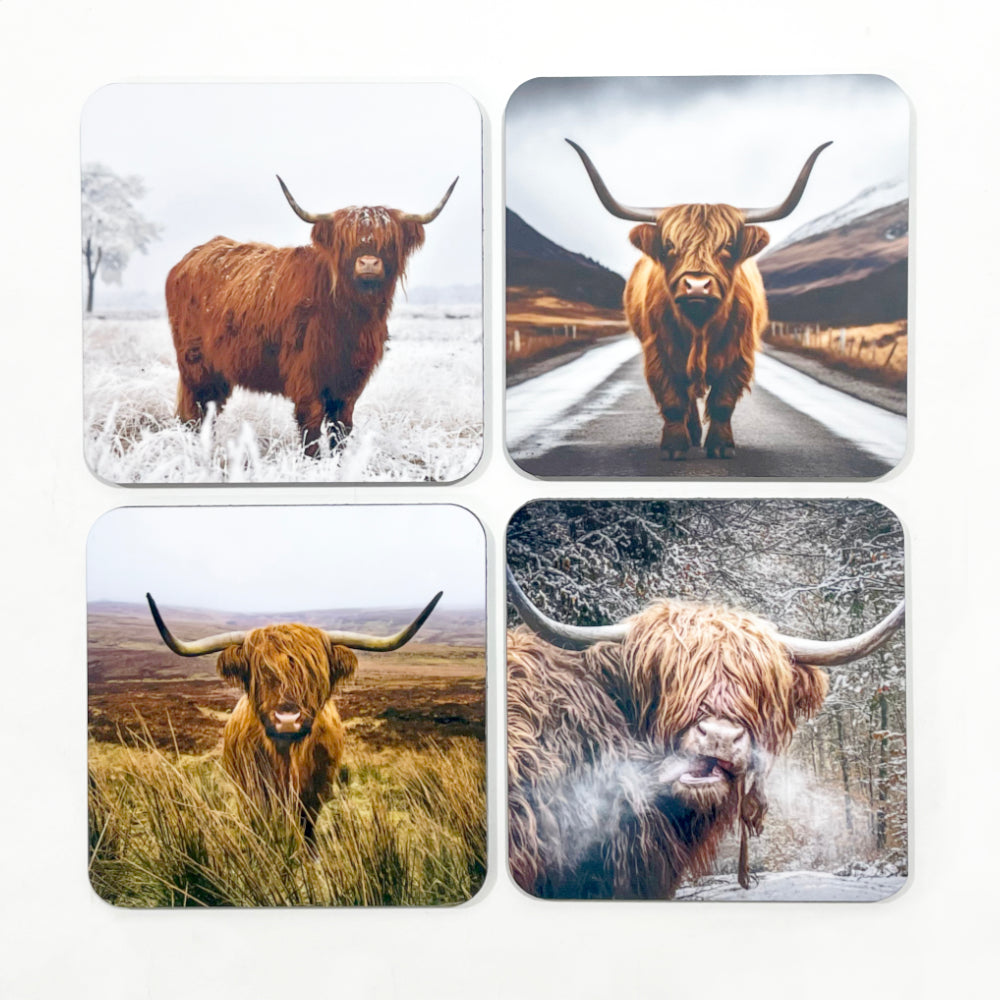 SH-Highland Cow Coaster Set