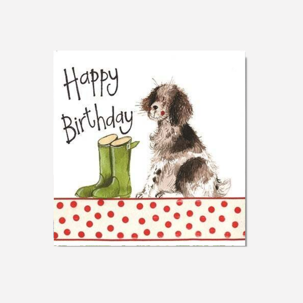 Alex Clark Large Card - Springer