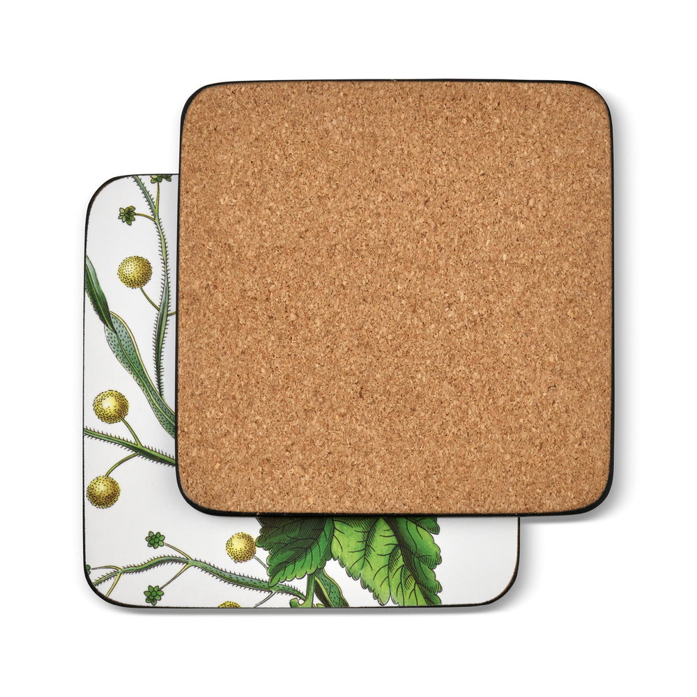 Pimpernel Stafford Blooms Coasters set of 6