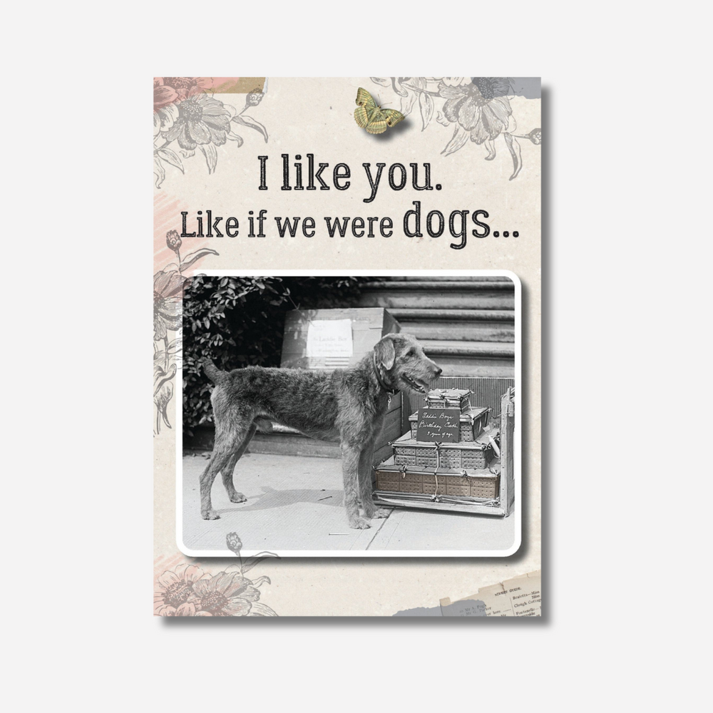 The Rest of Us Card If we Were Dogs