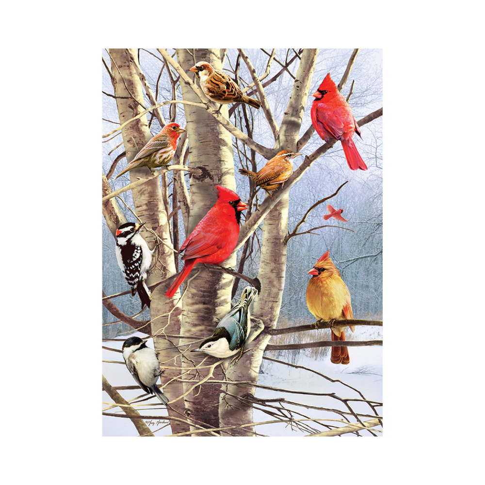 Cobble Hill Puzzles - Winter Birds