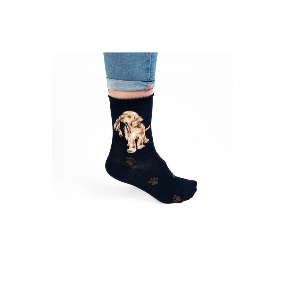 Wrendale Dog Socks - Hopeful