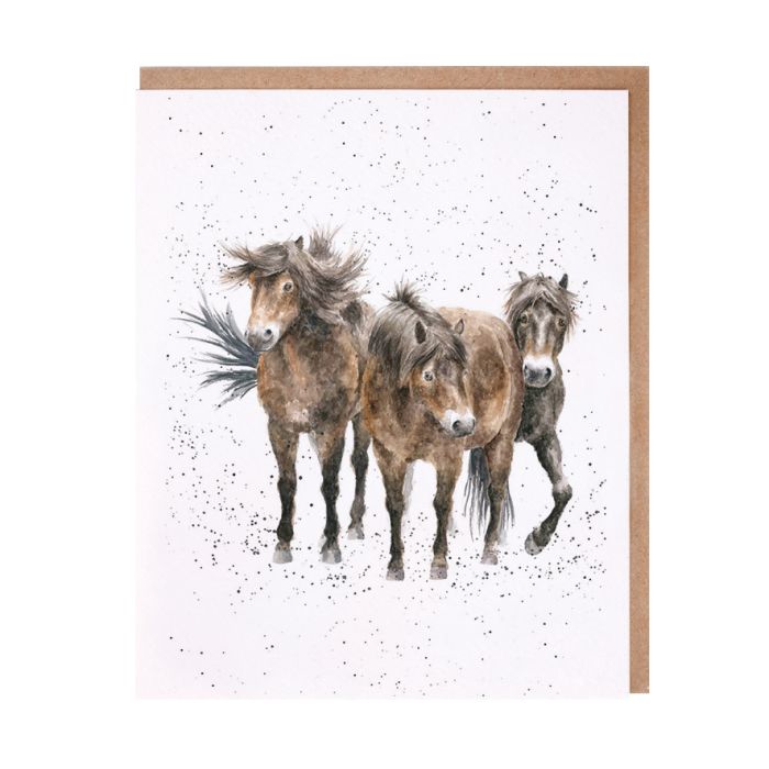 Wrendale Cards Three Amigos