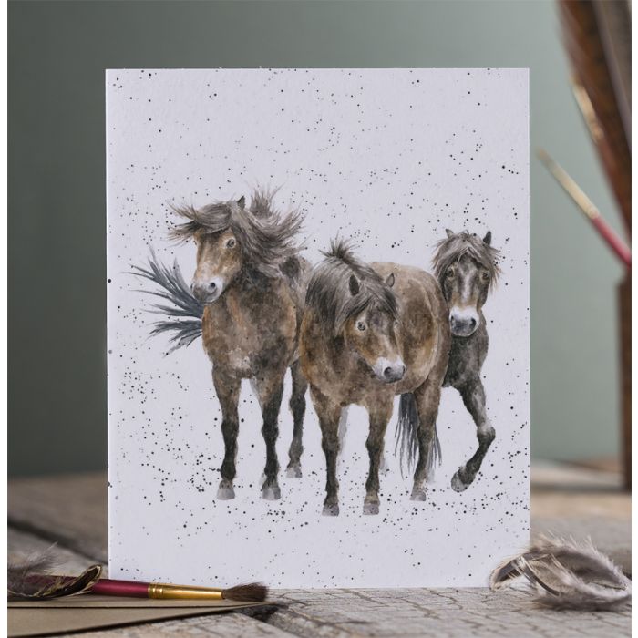 Wrendale Cards Three Amigos