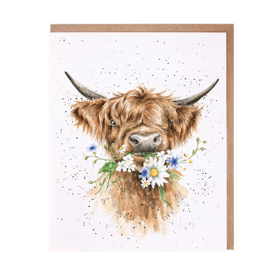 Wrendale Cards Daisy Coo
