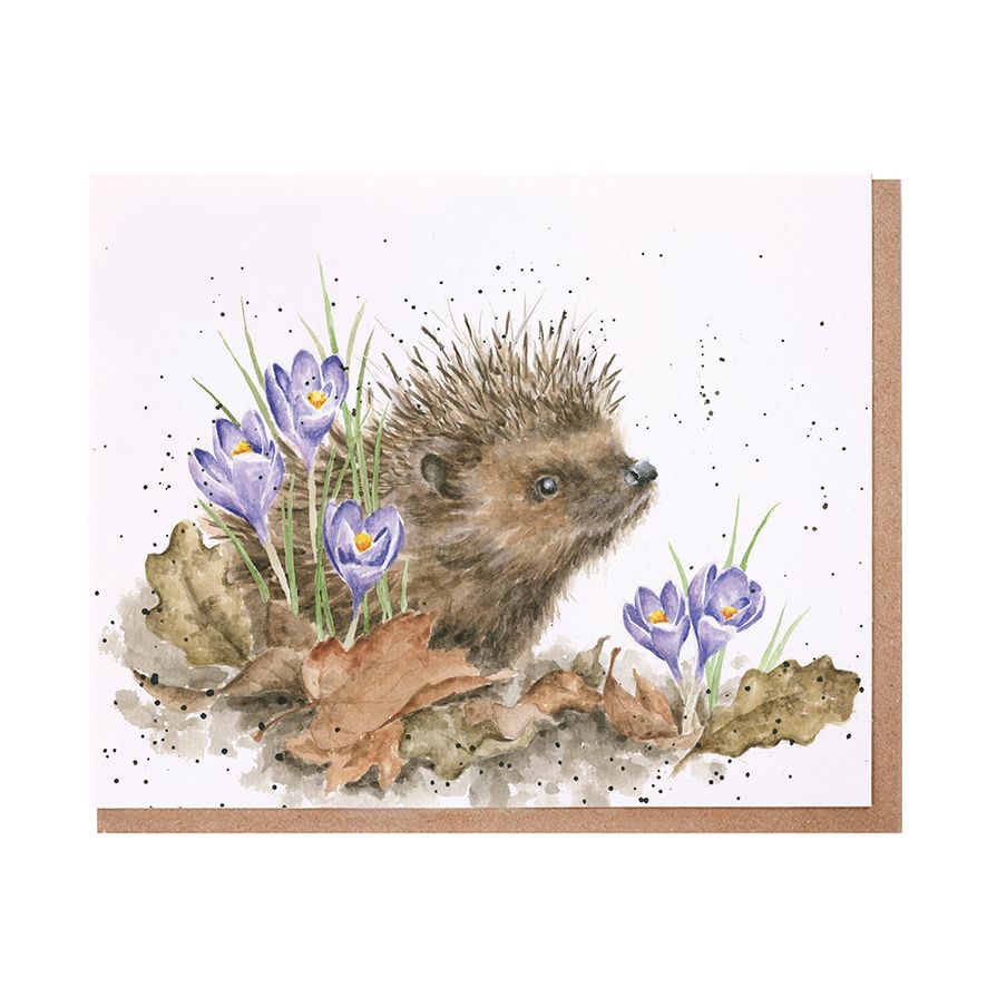Wrendale Cards New Beginnings