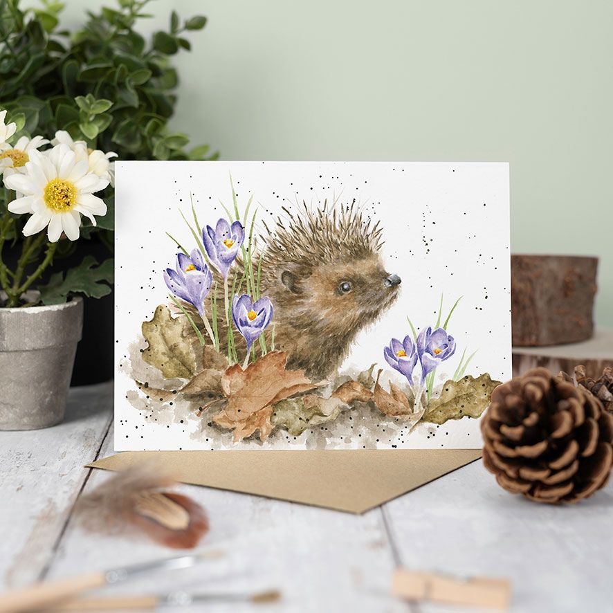 Wrendale Cards New Beginnings